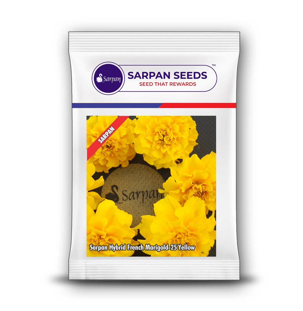 Sarpan Hybrid French  Marigold -25 Yellow