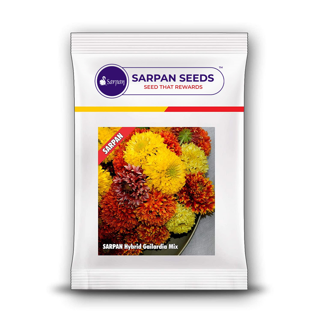 Sarpan Hybrid Gailardia -2 Mix