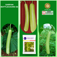 Load image into Gallery viewer, Sarpan Bottle gourd-55
