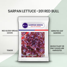 Load image into Gallery viewer, Sarpan Lettuce - 201 Red Bull
