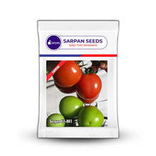 Load image into Gallery viewer, Sarpan  F1-801 Tomato
