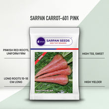 Load image into Gallery viewer, Sarpan carrot -601 Pink
