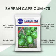 Load image into Gallery viewer, Sarpan Capsicum -79

