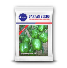 Load image into Gallery viewer, Sarpan Capsicum -79
