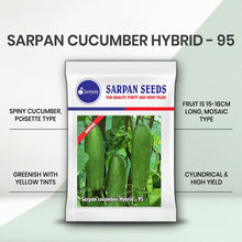 Load image into Gallery viewer, Sarpan Cucumber Hybrid -95
