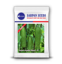 Load image into Gallery viewer, Sarpan Cucumber Hybrid -95
