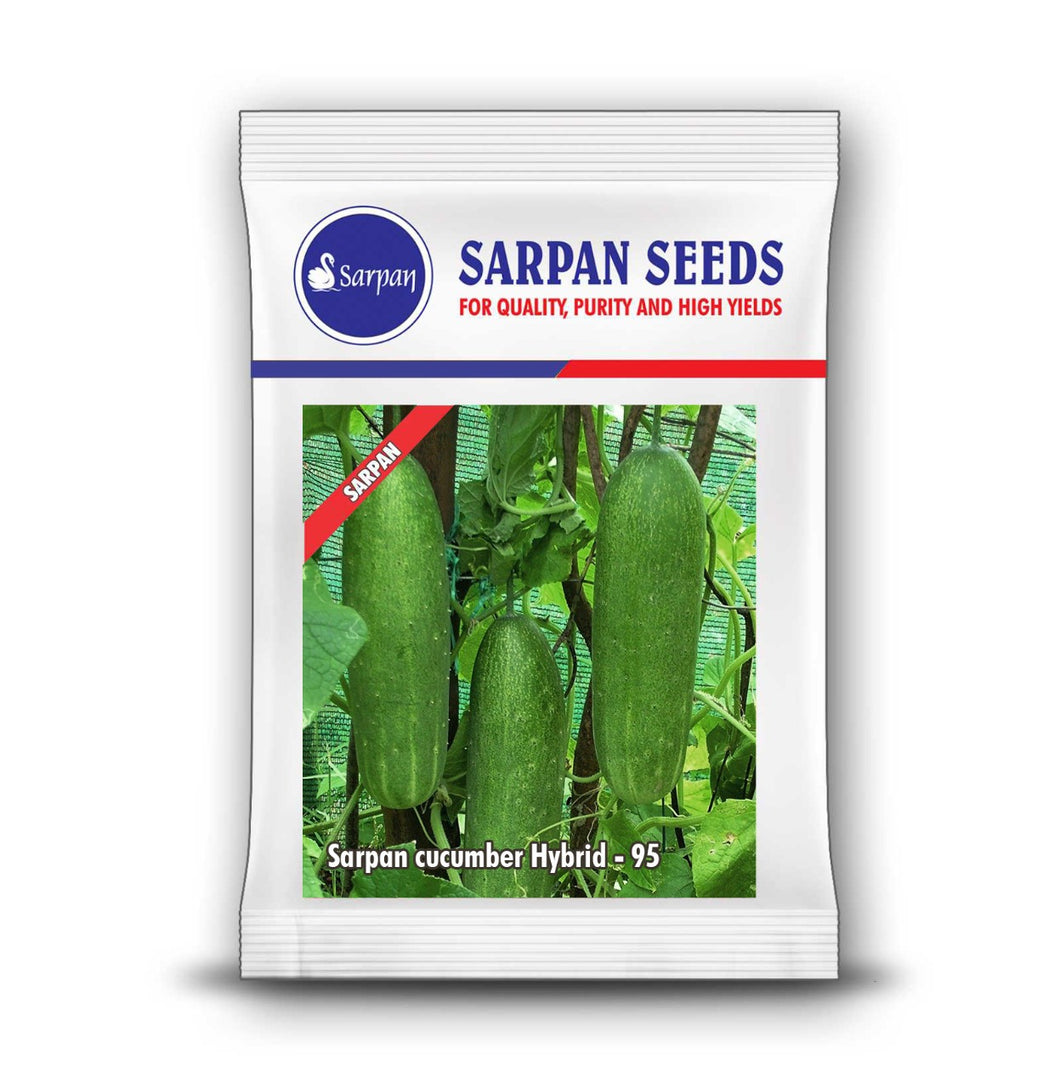 Sarpan Cucumber Hybrid -95