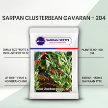 Load image into Gallery viewer, Sarpan Clusterbean - Gavaran-204
