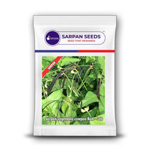 Load image into Gallery viewer, Sarpan Vegetable cowpea Red-340.

