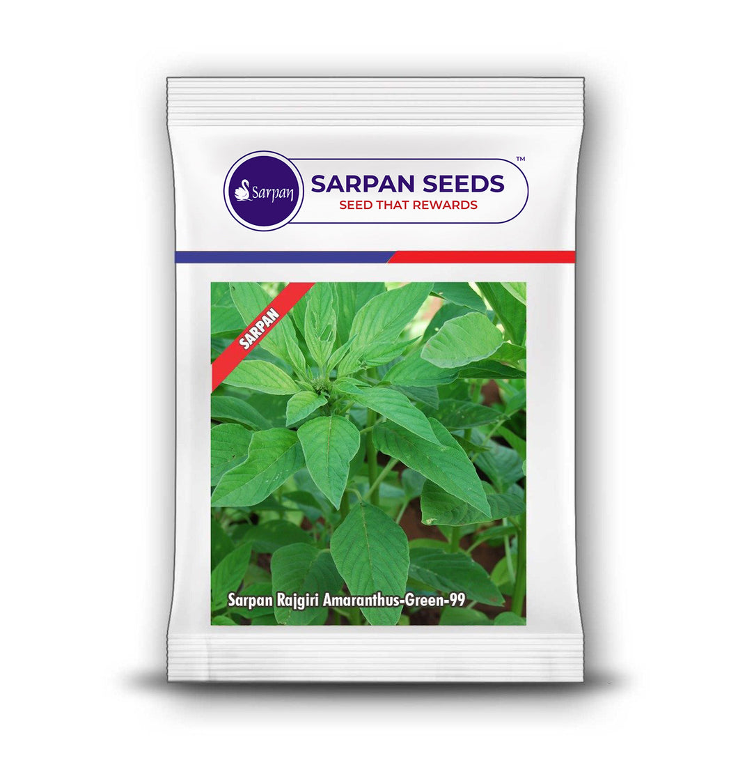 Sarpan Rajgiri Amaranthus-Green-99