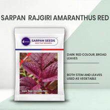 Load image into Gallery viewer, Sarpan  Rajgiri Amaranthus Red
