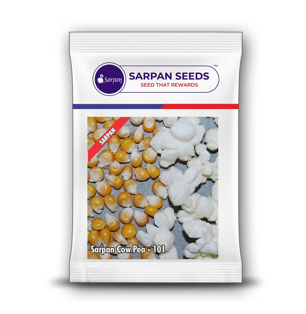 Sarpan Pop Corn-101