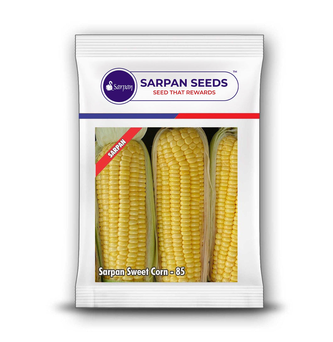Sarpan Sweet Corn-85
