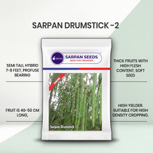 Load image into Gallery viewer, Sarpan Drumstick-SD-2

