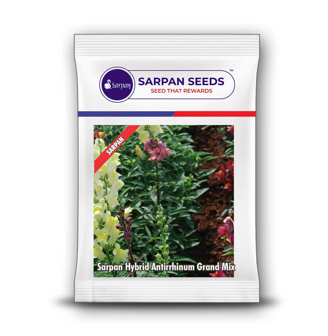 Sarpan Hybrid Antirrhinum Grand Mix
