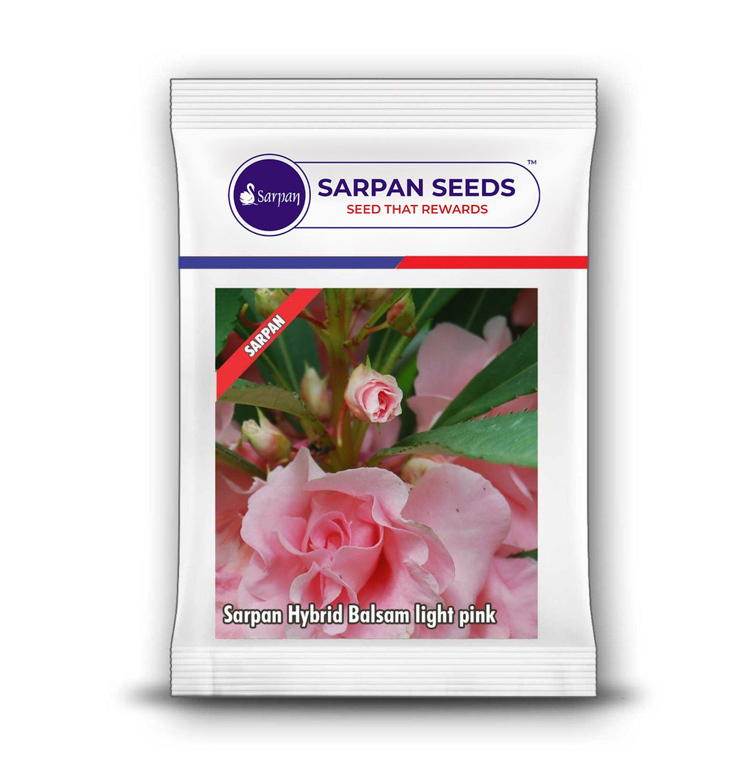 Sarpan Hybrid Balsam  Light Pink Bal-8