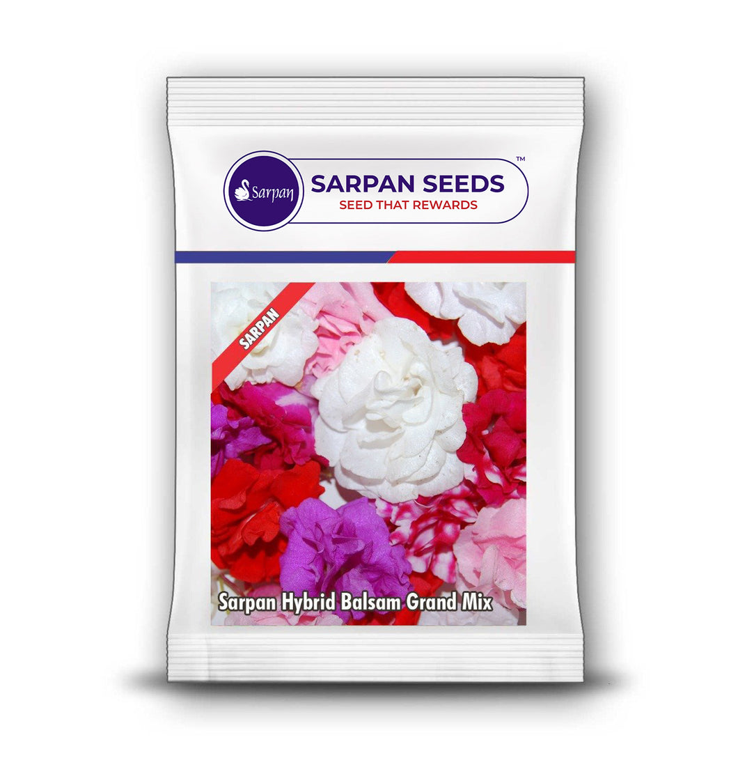 Sarpan Hybrid Balsam Grand Mix