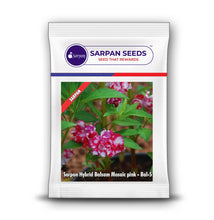 Load image into Gallery viewer, Sarpan Hybrid  Balsam Mosaic Pink –Bal-5
