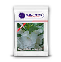 Load image into Gallery viewer, Sarpan Hybrid  Balsam Snow white Bal-11
