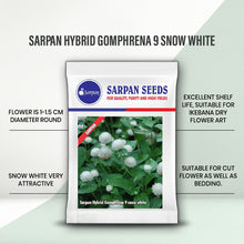 Load image into Gallery viewer, Sarpan Hybrid Gomphrena 9 Snow white
