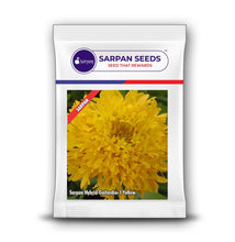 Load image into Gallery viewer, Sarpan Hybrid Gailardia-1-Yellow
