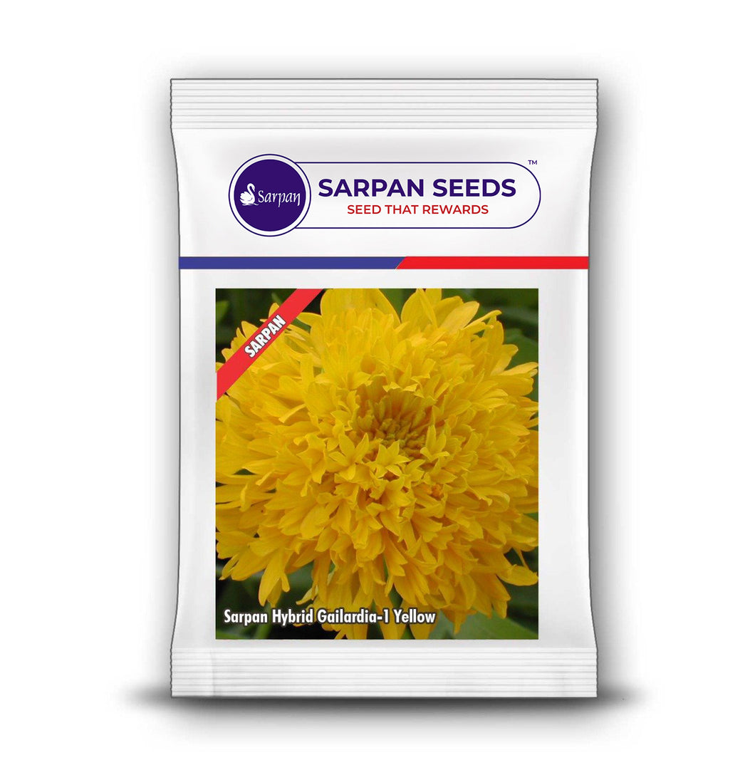 Sarpan Hybrid Gailardia-1-Yellow