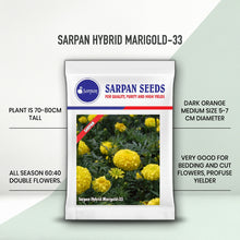 Load image into Gallery viewer, Sarpan Hybrid Marigold-33
