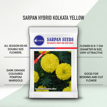 Load image into Gallery viewer, Sarpan Hybrid Kolkata yellow
