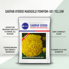 Load image into Gallery viewer, Sarpan Hybrid Marigold Pompom-501 Yellow
