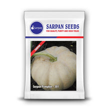 Load image into Gallery viewer, Sarpan Pumpkin-301
