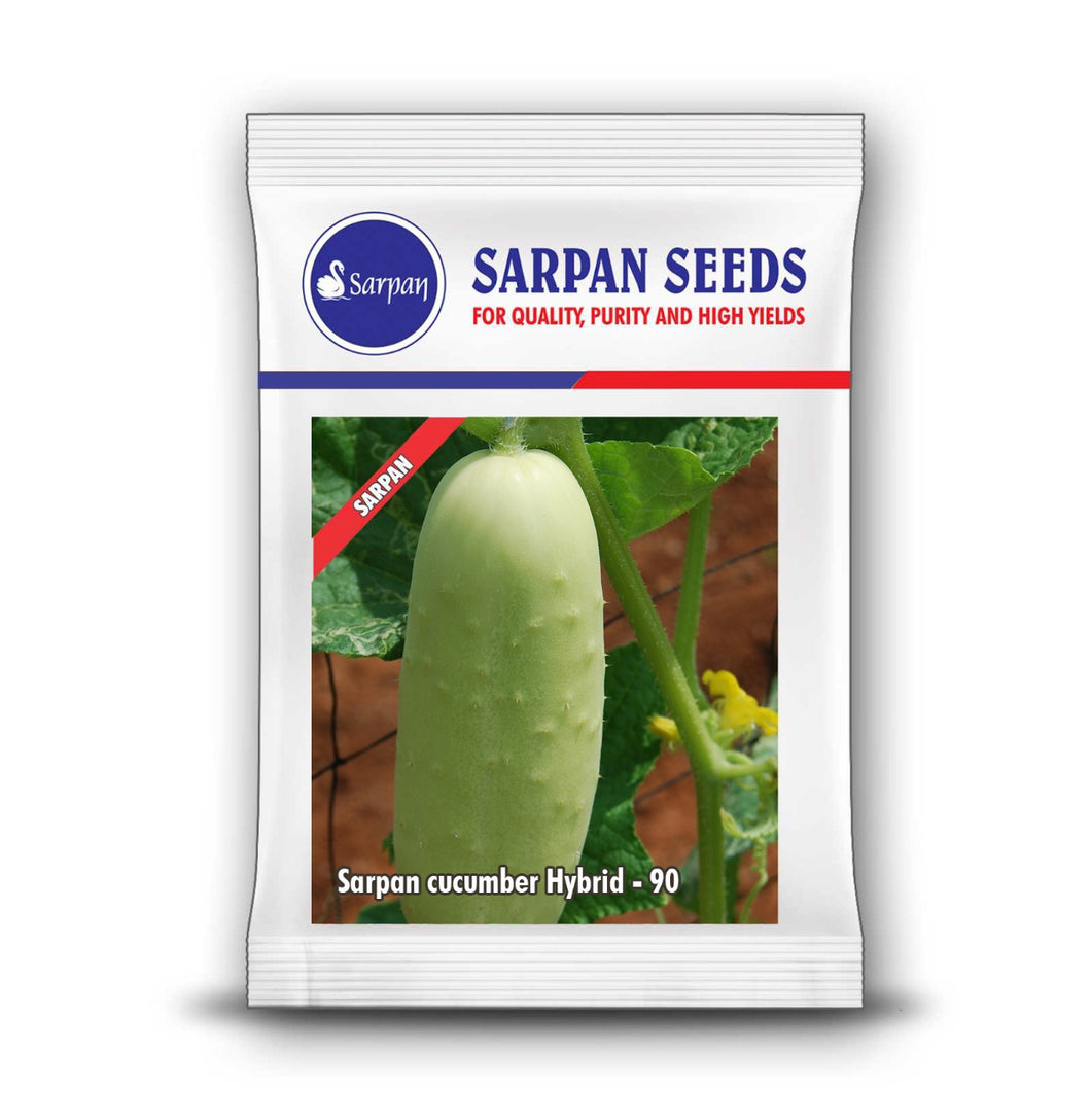 Sarpan- Hybrid Cucumber-90