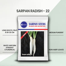 Load image into Gallery viewer, Sarpan radish-22
