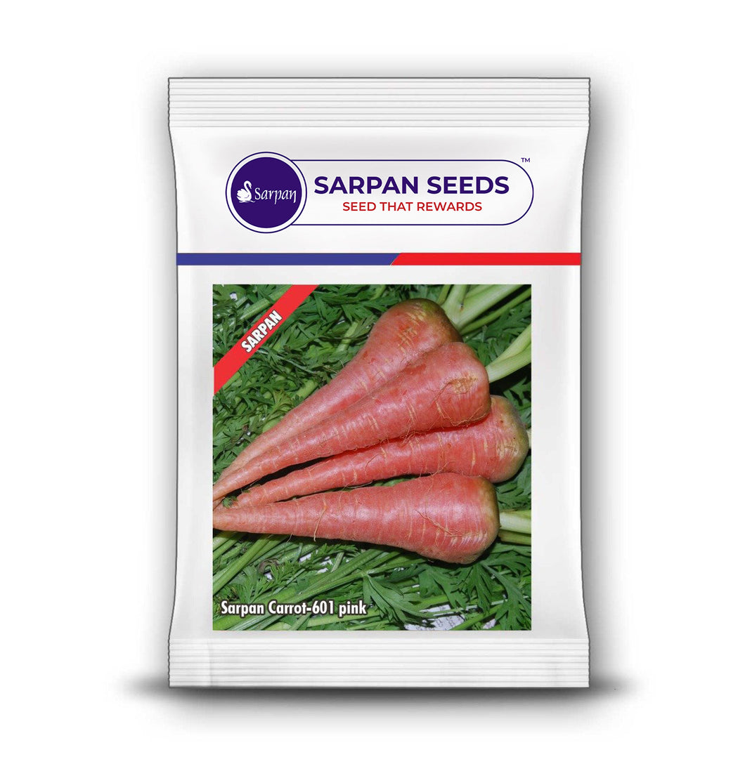 Sarpan carrot -601 Pink