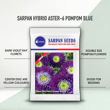 Load image into Gallery viewer, Sarpan Hybrid Aster-6 Pompom Blue
