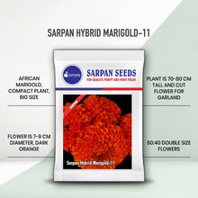 Load image into Gallery viewer, Sarpan Hybrid  Marigold-11
