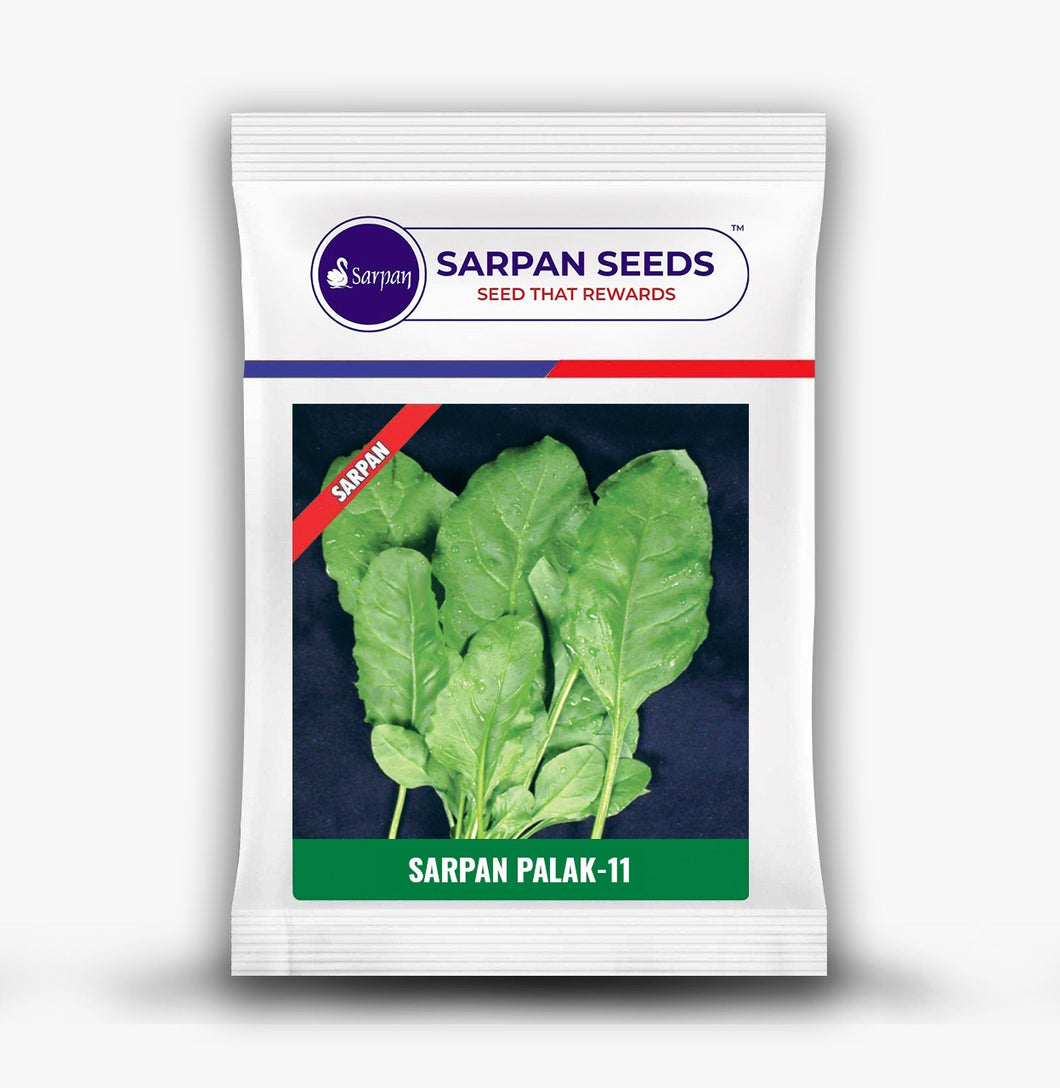 Sarpan  Spinach Palak.SP-11