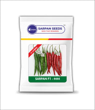 Load image into Gallery viewer, Sarpan - 4444 Chilli seeds
