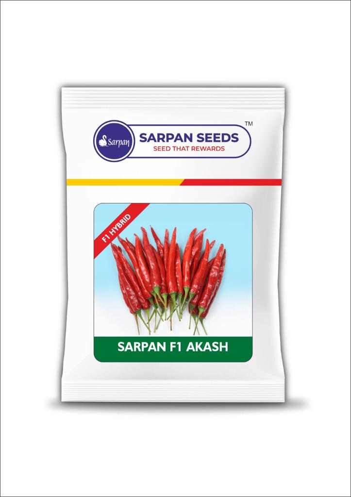 Sarpan Akash (F1 Hybrid) Chilli Seeds / Mirch Beej