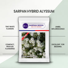 Load image into Gallery viewer, Sarpan Hybrid Alyssum
