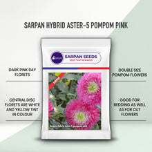 Load image into Gallery viewer, Sarpan hybrid Aster-5 Pompom pink
