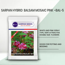 Load image into Gallery viewer, Sarpan Hybrid  Balsam Mosaic Pink –Bal-5
