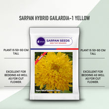 Load image into Gallery viewer, Sarpan Hybrid Gailardia-1-Yellow
