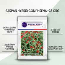 Load image into Gallery viewer, Sarpan Hybrid Gomphrena -36 Org
