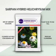 Load image into Gallery viewer, Sarpan Hybrid Helichrysum Mix
