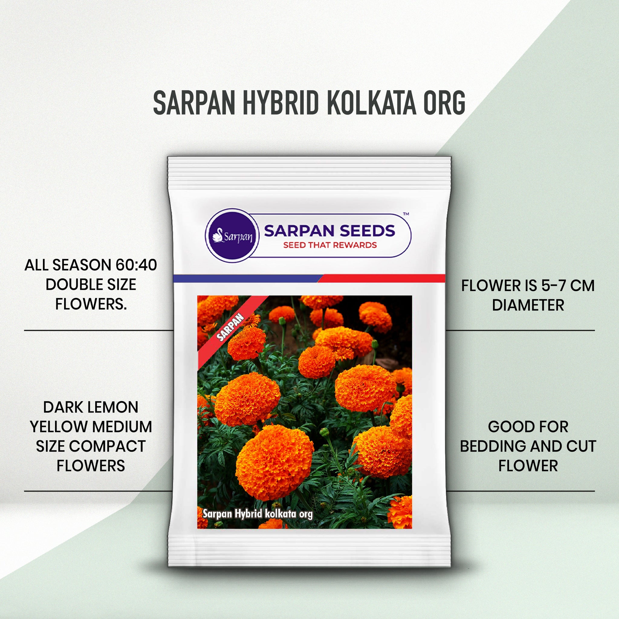 kolkata marigold seeds Sarpan Hybrid Kolkata org – Sarpan Seeds