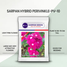 Load image into Gallery viewer, Sarpan Hybrid perivinkle-PV-10
