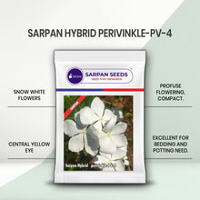 Load image into Gallery viewer, Sarpan Hybrid perivinkle-PV-4
