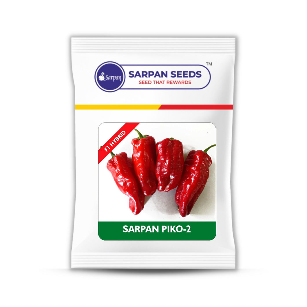 Sarpan Piko-2 Chilli Seeds | Red Chilli Seeds