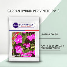 Load image into Gallery viewer, Sarpan Hybrid perivinkle-PV-3
