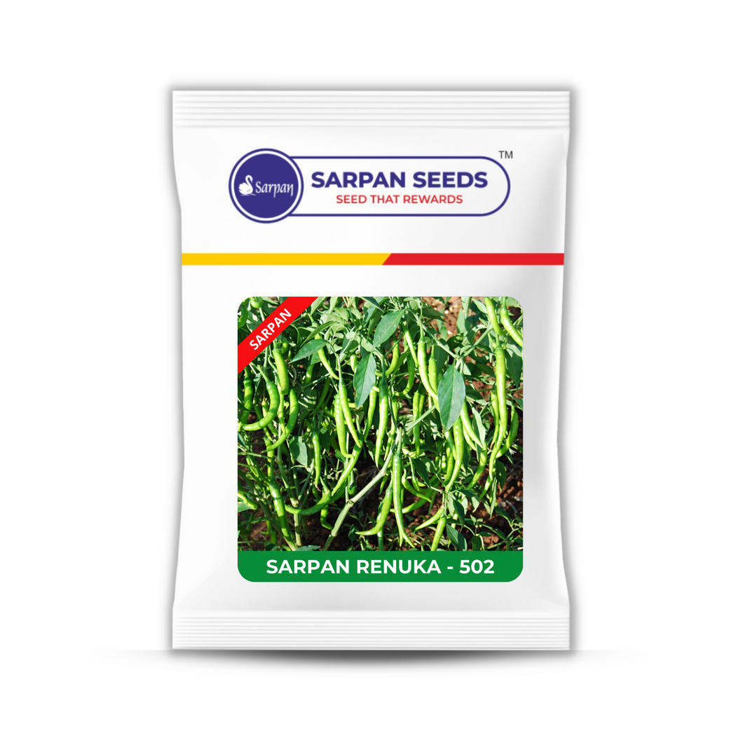 Sarpan Renuka light green Chilli seeds
